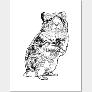 Black and white drawing - hamster Posters and Art